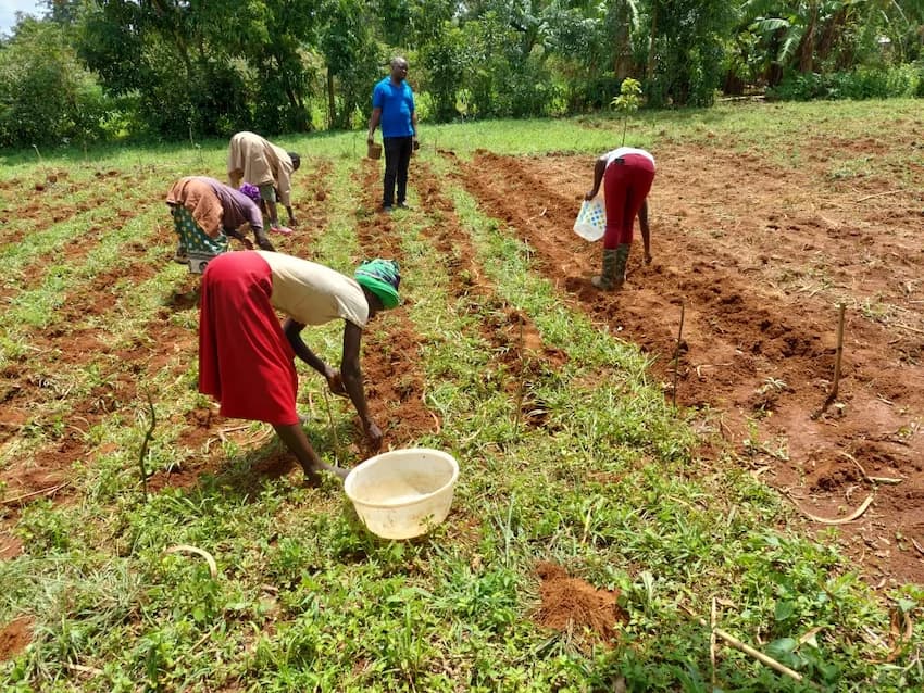 2 Kenyan Firms Top Ksh 125 Million Food Innovation Challenge