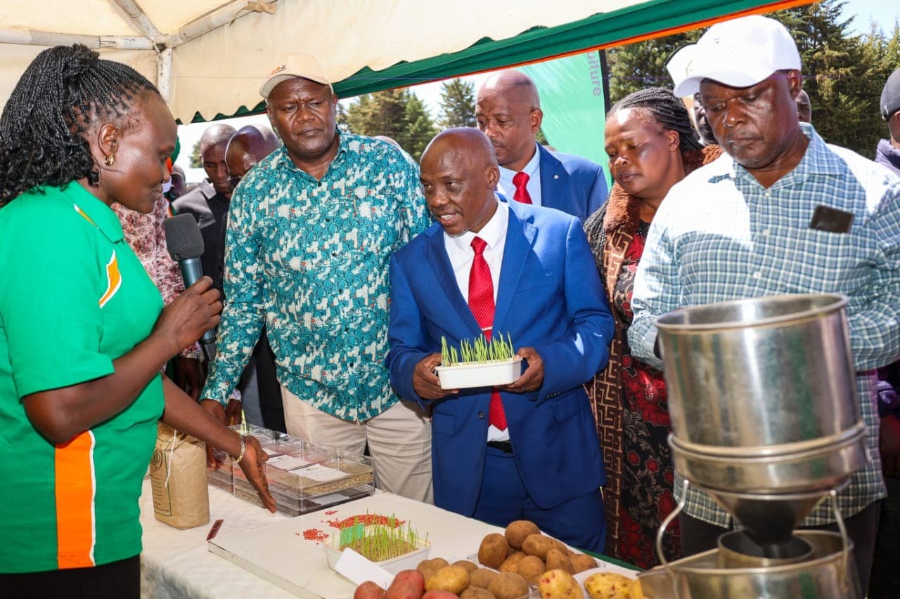 Government to establish potato seed centre to boost production