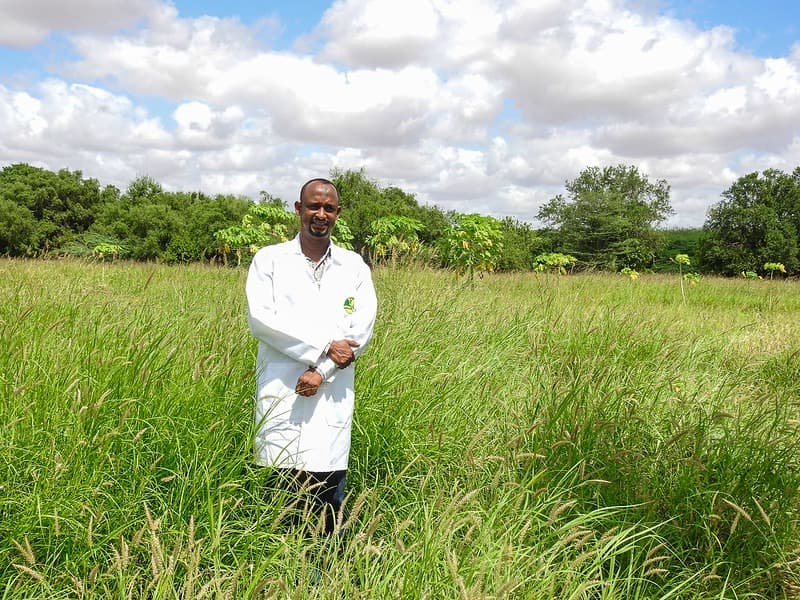 Sh18M grant enables Garissa farmer establish thriving grass business