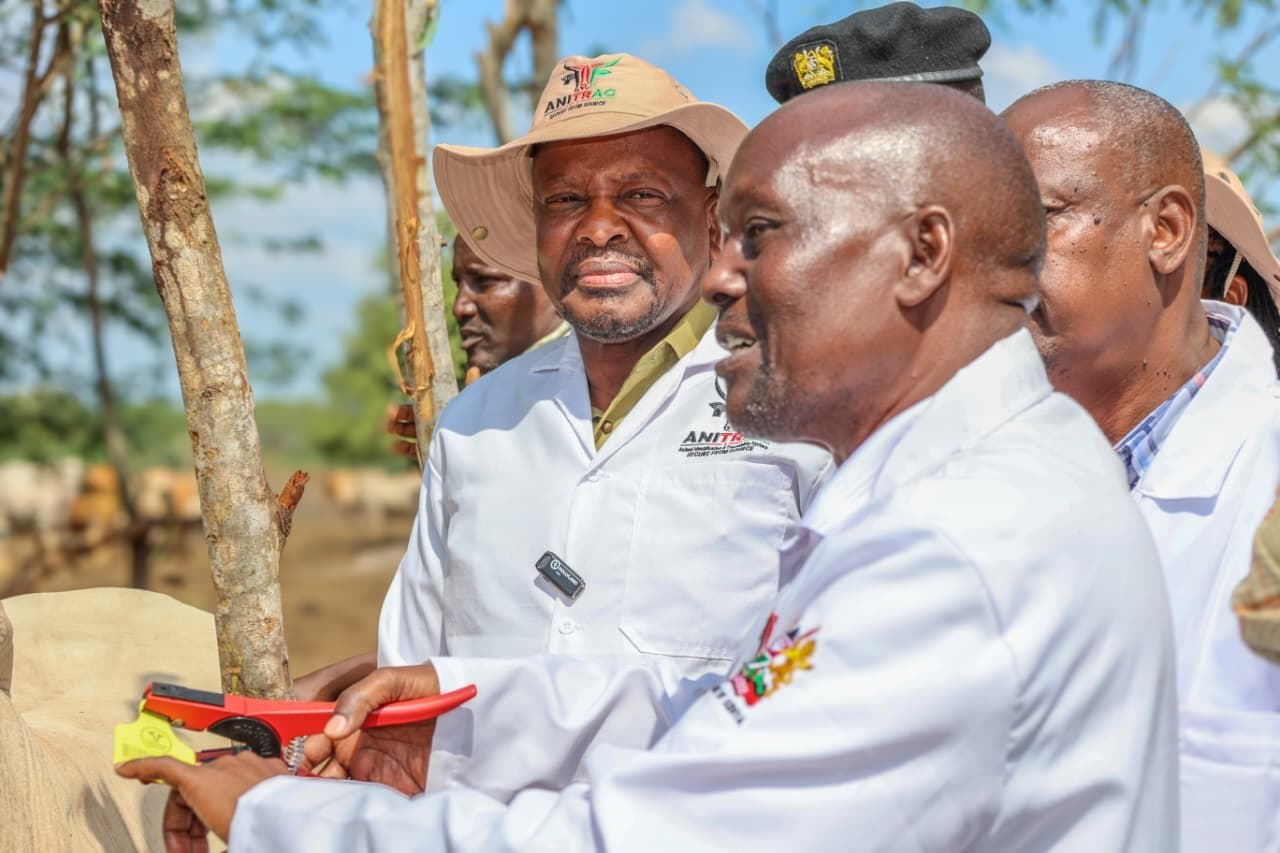 Government expands ANITRAC rollout to boost livestock exports