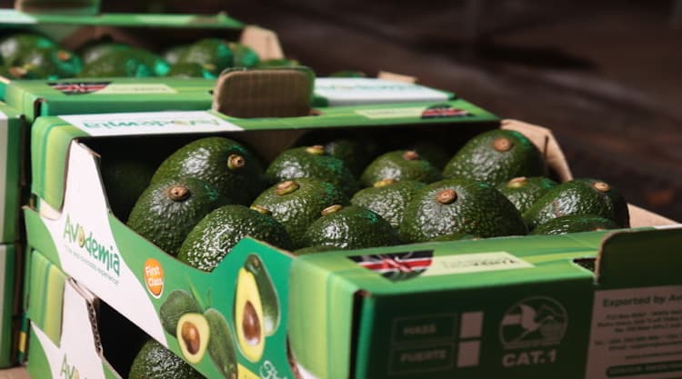 Kenya one of first African countries to secure Early Harvest Agreement with China