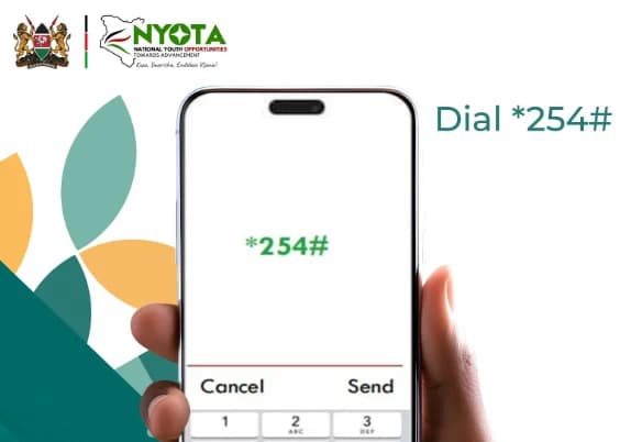 All You Need to Know About the NYOTA Program And How to Benefit