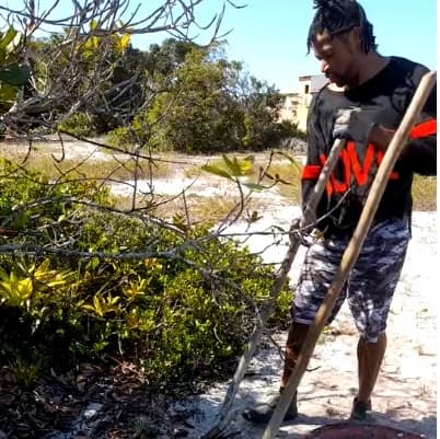 Couple who turned sand to food in Brazil now trialling in Africa