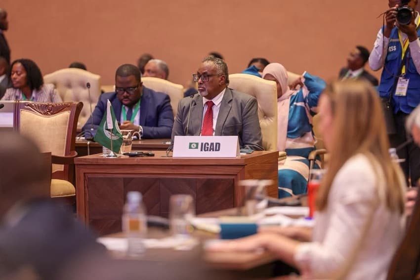 IGAD Deputy Chief champions an African-led security transition for Somalia