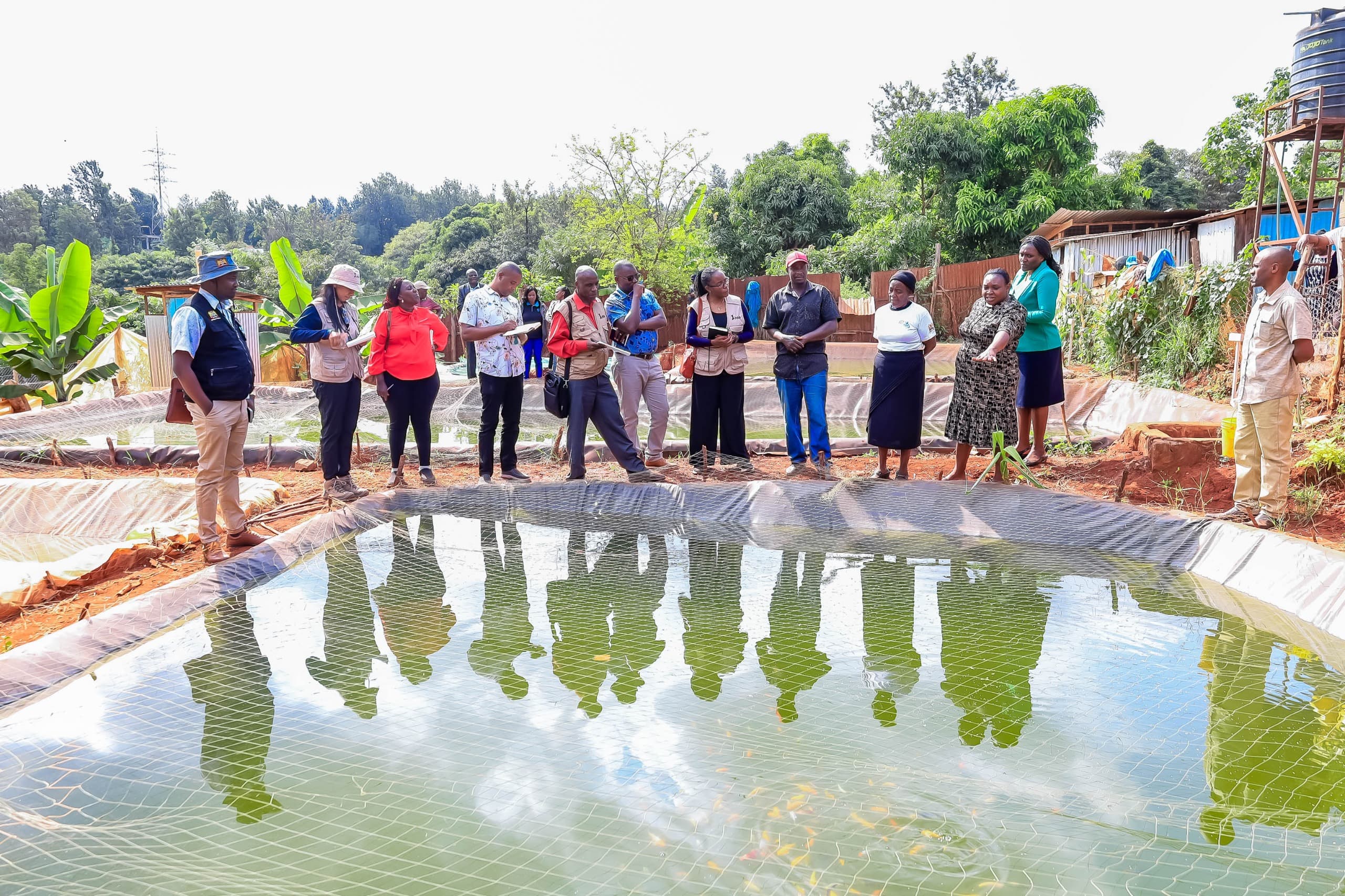 Kirinyaga sets pace in fish farming as farmers reap bigger profits