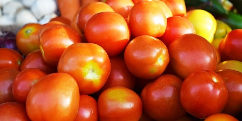 Tomato farmers reap ripe returns as shortage bites, prices soar