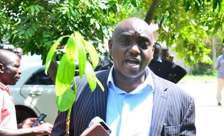 Migori farmers receive Hass Avocado seedlings to boost Income