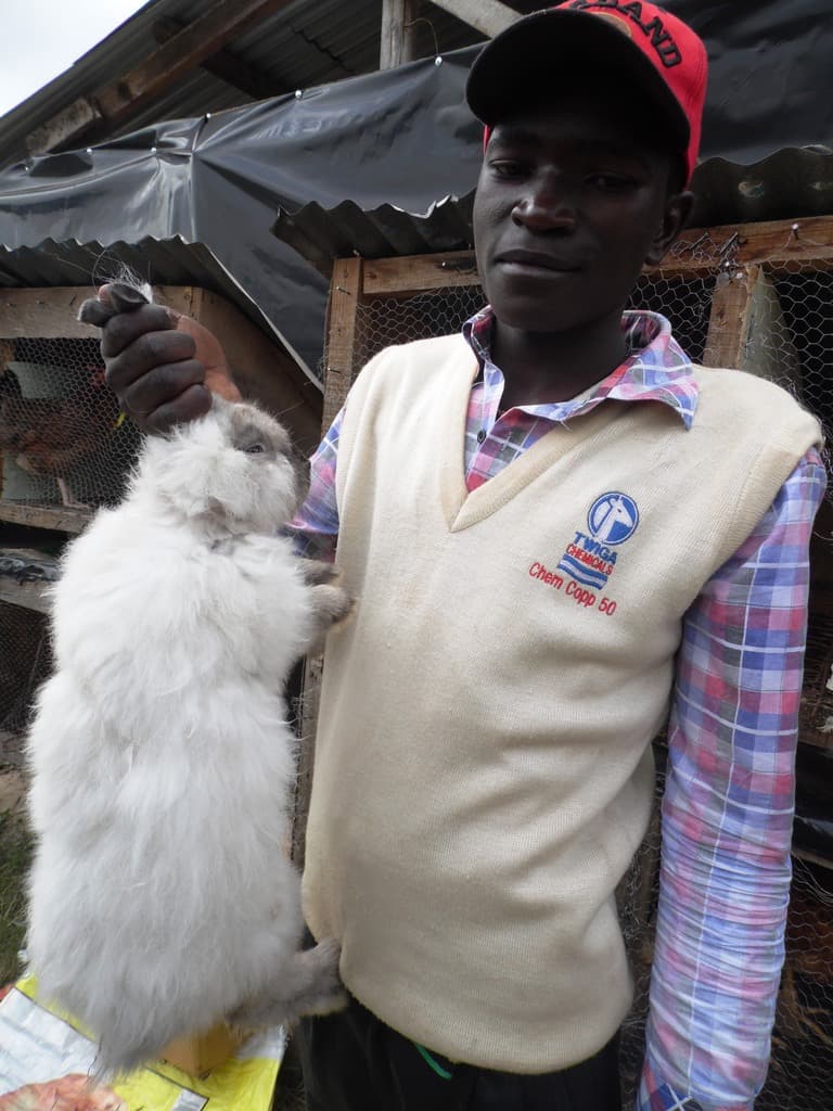 Association training farmers on commercial rabbit production