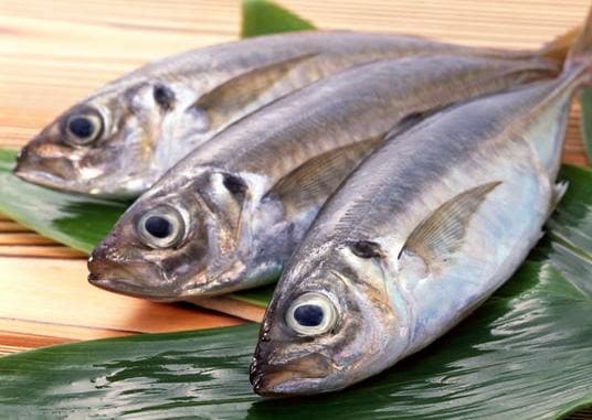 Africa harmonizes policies to boost fish trade