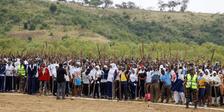 Jomvu Mangrove Ecosystem Takes Global Spotlight in Kenya’s Record Bid