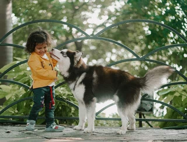 Eco-Friendly Ways To Care For Your Pet And The Planet