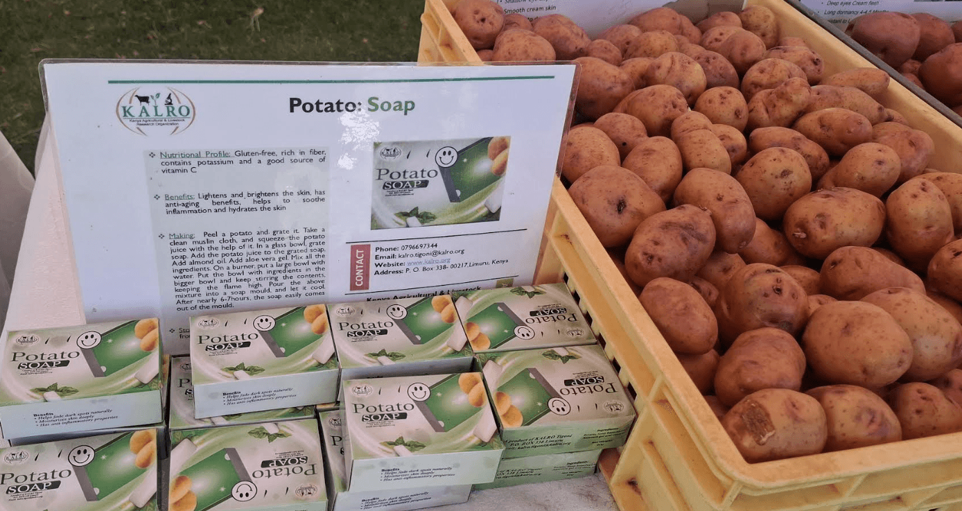 Potato value addition offers farmers new income opportunities