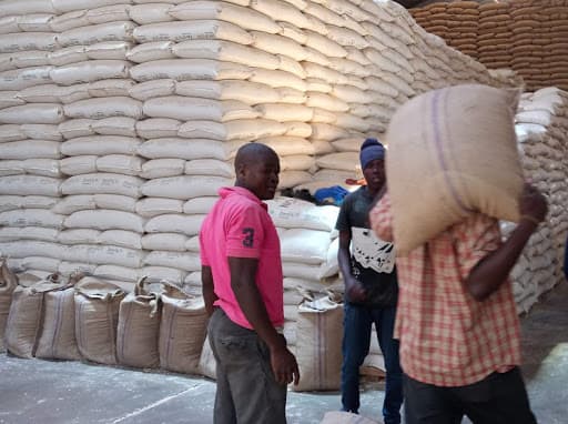 Afande Moses: Influencer shares how he earned Sh460,000 from maize