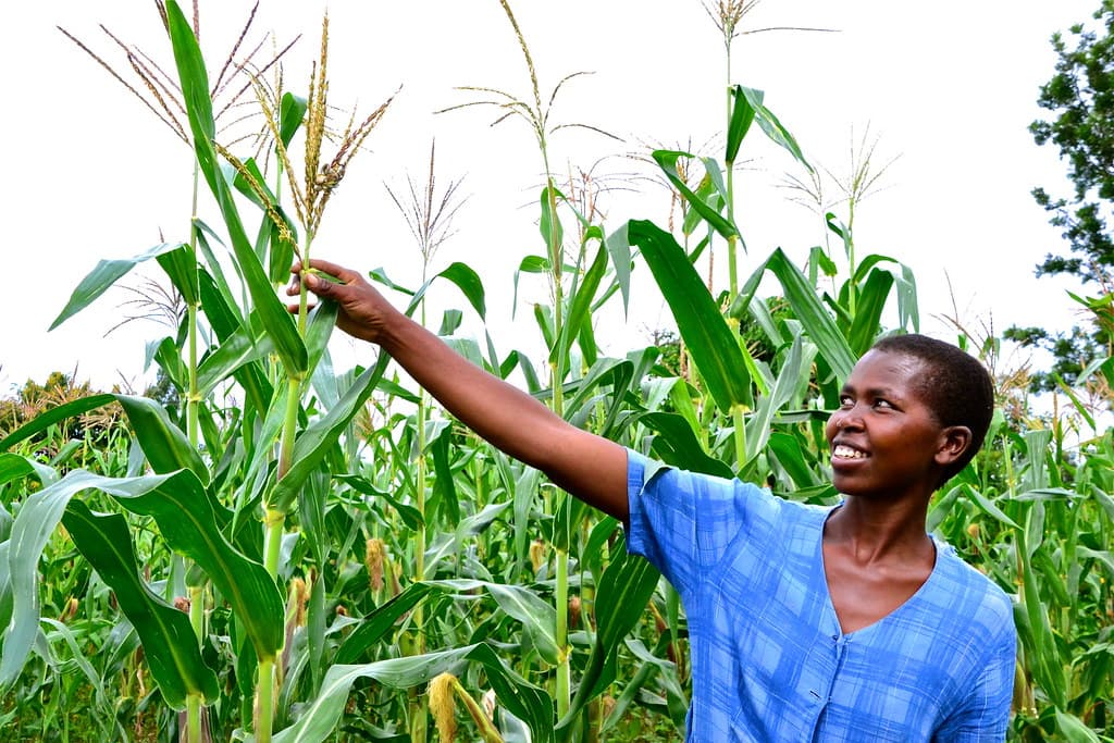 World leaders call for innovative private sector partnerships to finance Africa’s agri