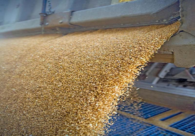 Grain processing plant to benefit East Africa farmers