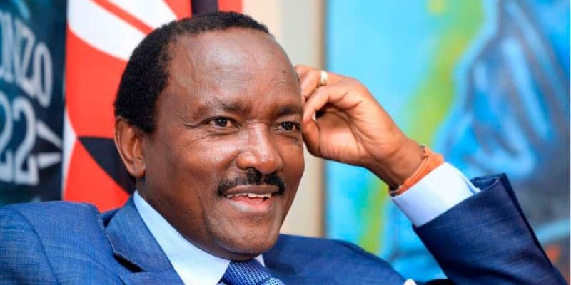 What Kalonzo Musyoka Currently Enjoys as the Former Vice President of Kenya
