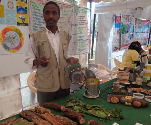 Medicinal Juice from trees can treat over 300 diseases