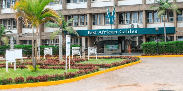Troubled East African Cables Set for Ownership Shake-Up