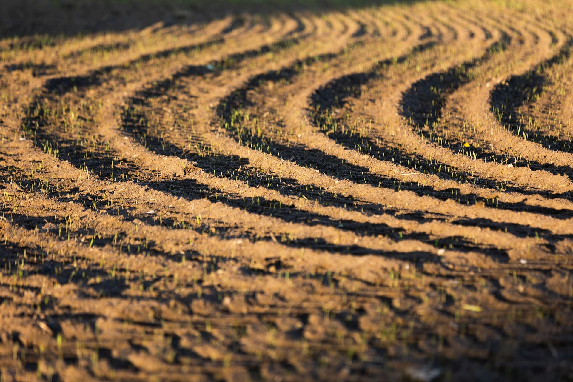 Africa’s soil health crisis demands immediate attention