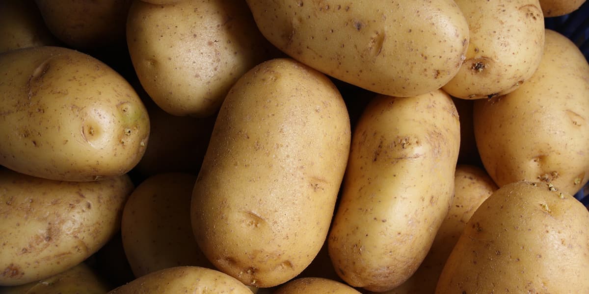 Smallscale farmers exempt from new potato regulation penalties
