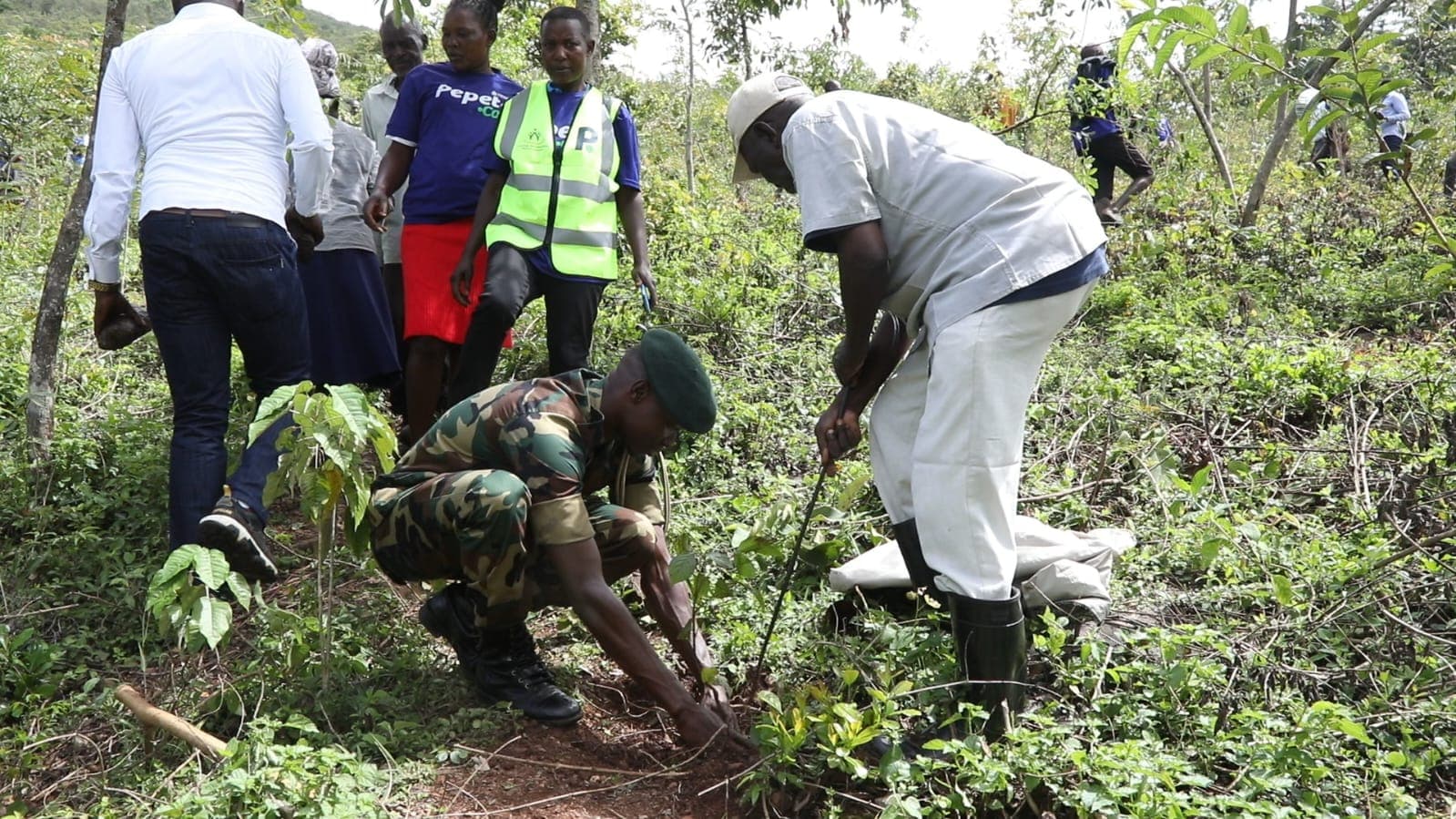 Homa Bay eyes breaking tree planting record