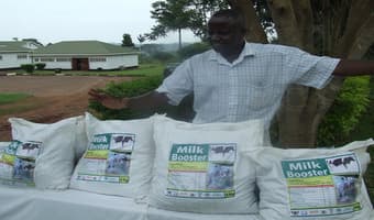 Bidco to upgrade Nakuru animal feed mill to curb rising shortage
