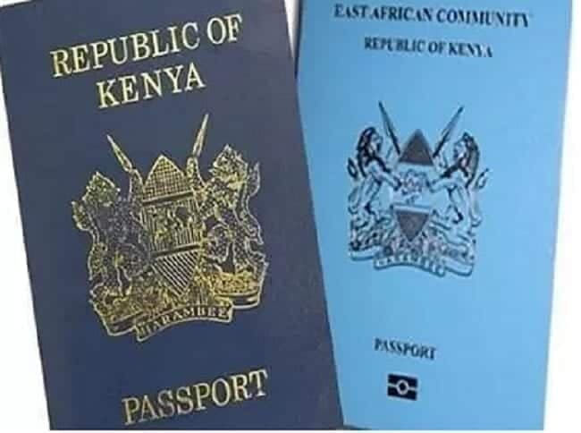 Blow for Kenyan Diaspora: New law bars dual-citizens from diplomatic positions