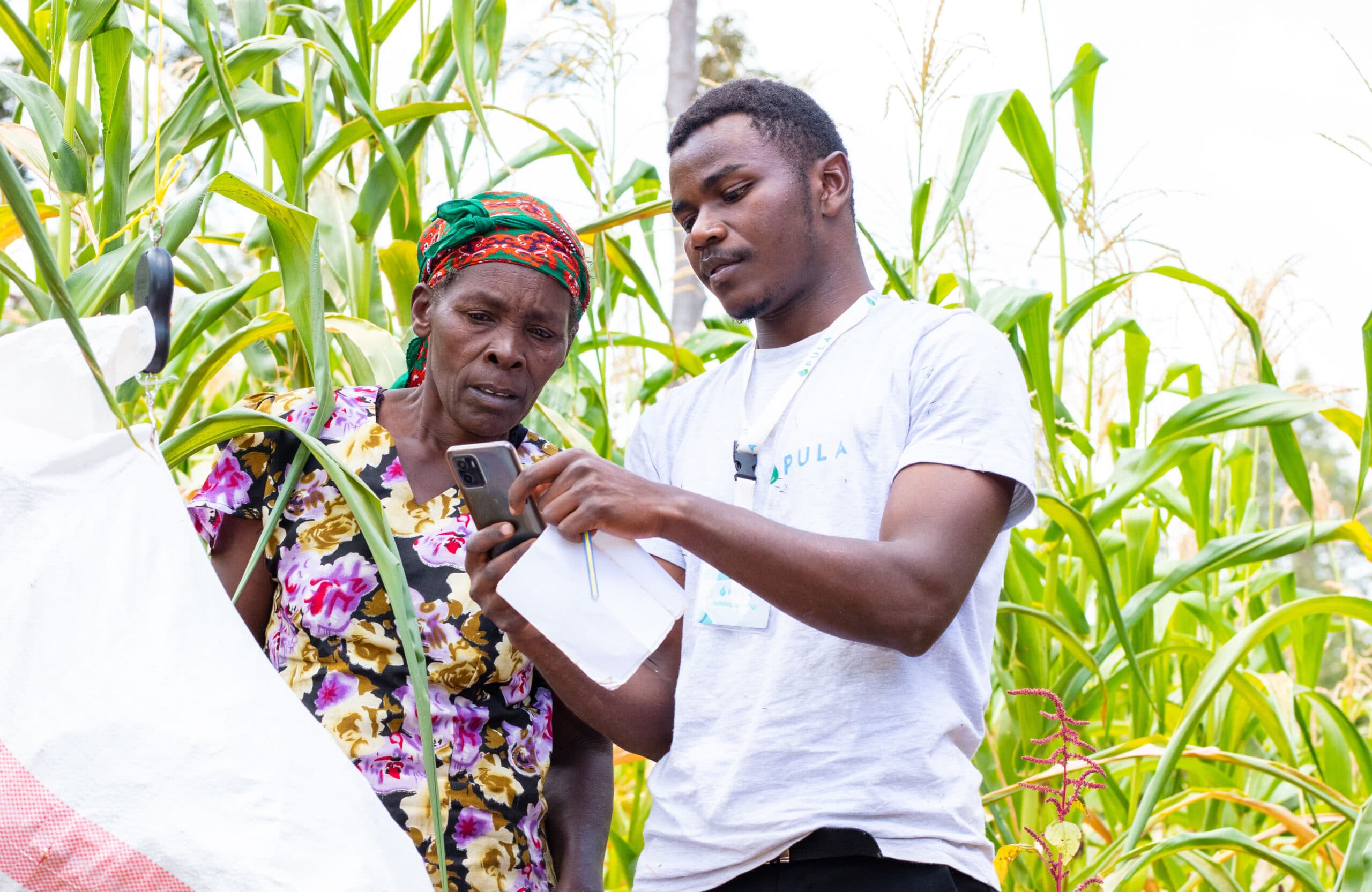 Pula receives $20M in funding to expand agricultural insurance to farmers