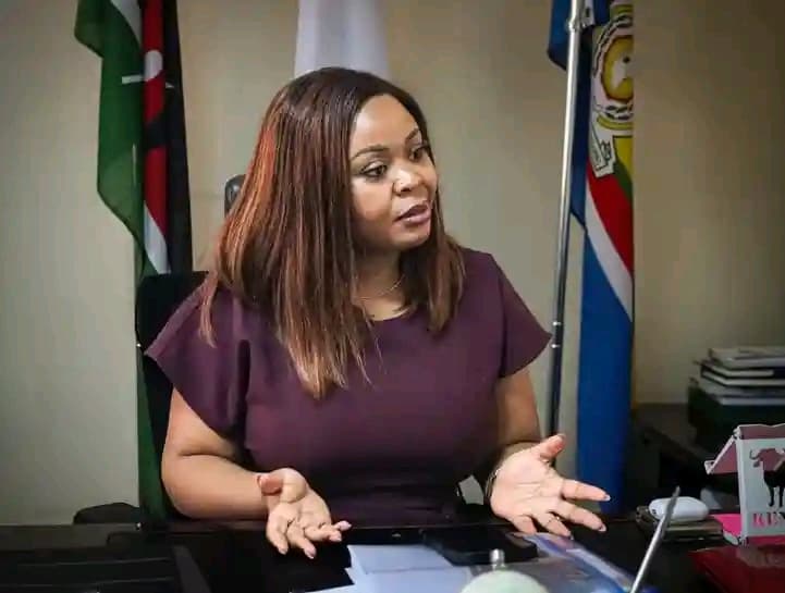 Youth leaders protest over delayed national youth council elections