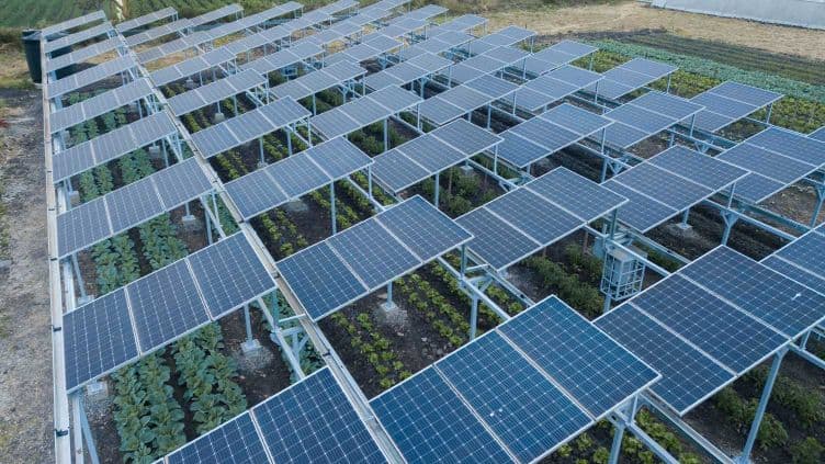 Isinya farm introduces innovative solar panel farming to E. Africa