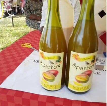 Graduate starts mango fruit wine enterprise in Siaya County