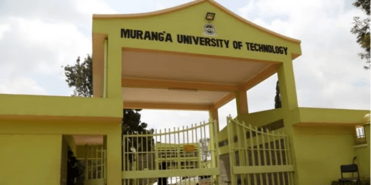 Murang’a University Announces Teaching and Administrative Jobs