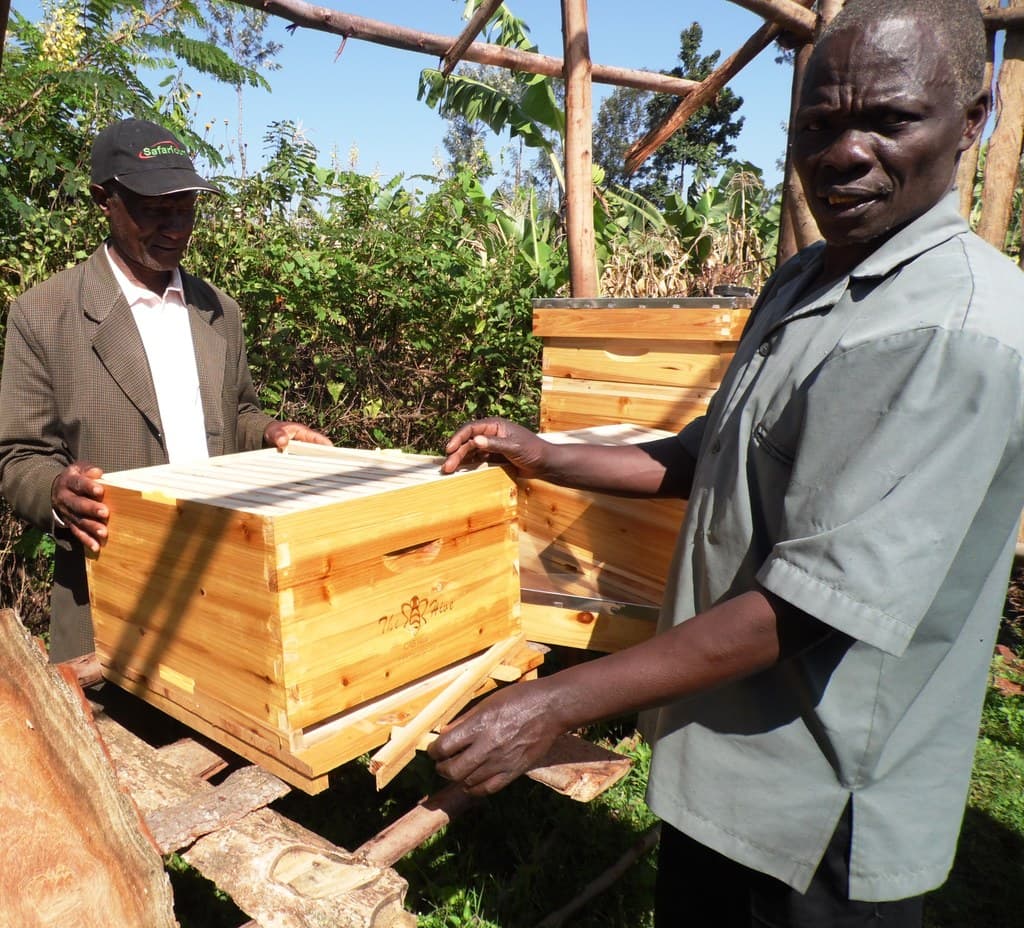 Wood smoke smell helps farmers stock bees
