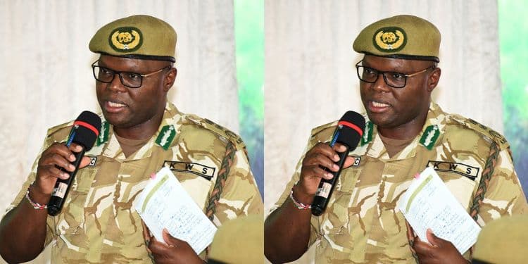 KWS Issues Statement on Court Verdict in Ant Smuggling Case