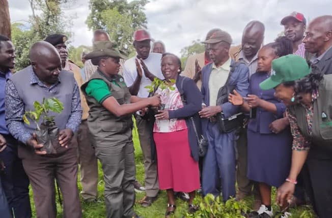 Govt distributes coffee, avocado seedlings to Trans Nzoia farmers