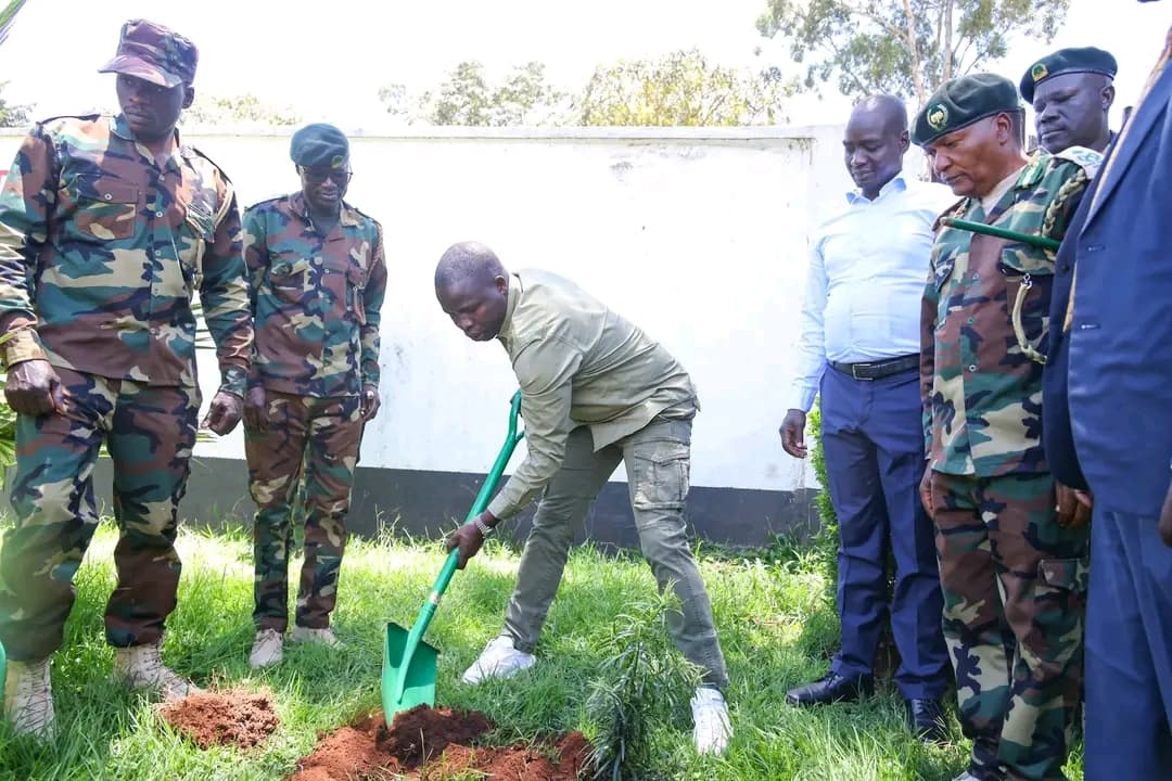 Nandi targets 200,000 trees in one-hour planting blitz