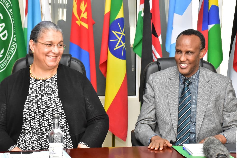 UN Special Envoy urges stronger regional collaboration on climate security in the Horn of Africa