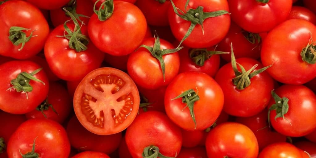 Increased tomato supply reduces profits