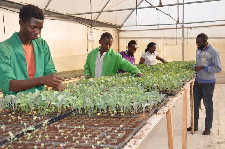 Students establish seedlings farm to enhance their capacity in farming practices