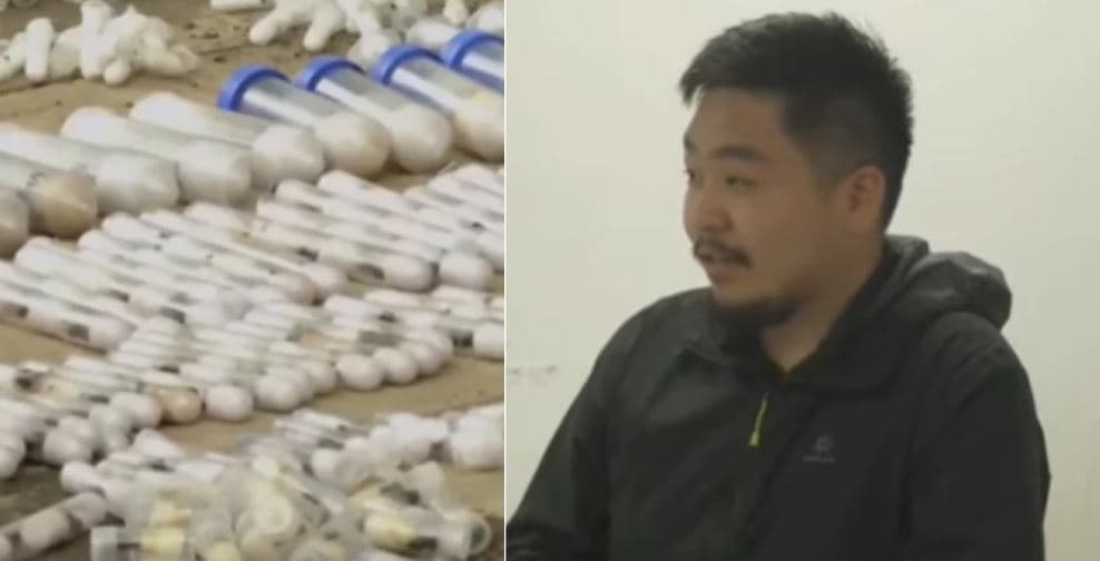 Chinese Suspect Nabbed at JKIA With Over 2,000 Live Queen Ants Hidden in Tissue Rolls and Test Tubes