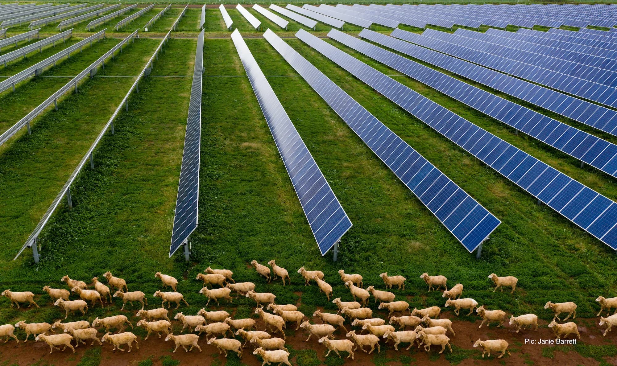 Octopus Australia Breaks Ground on $639M Blind Creek Solar Farm Project in NSW