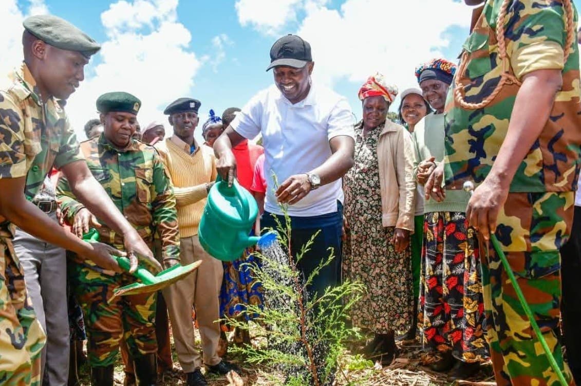 40,000 trees planted in Elgeyo Marakwet forest block