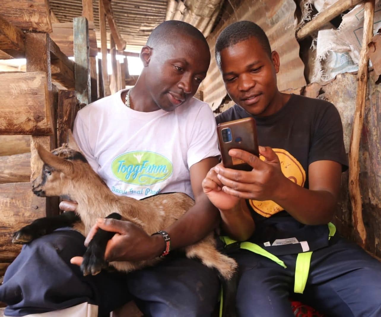 Goat farm in the slums rises from 3 to 30+ goats selling milk and yoghurts