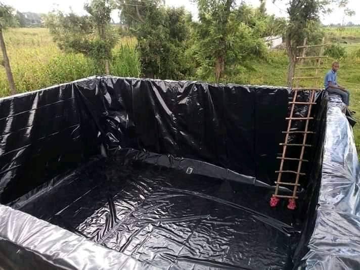 Unpredictable rainfall triggers water harvesting among small holder farmers