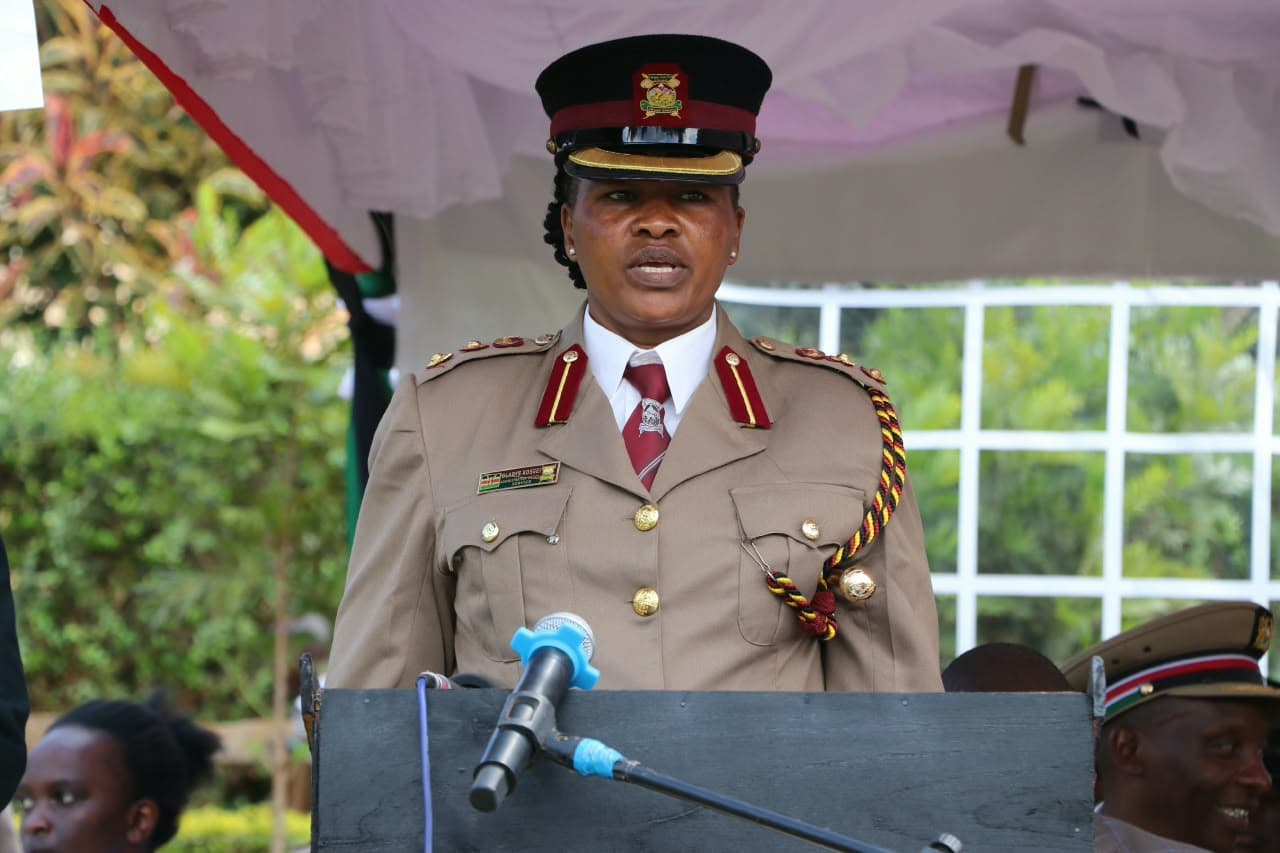 Government raises alarm over illicit brews