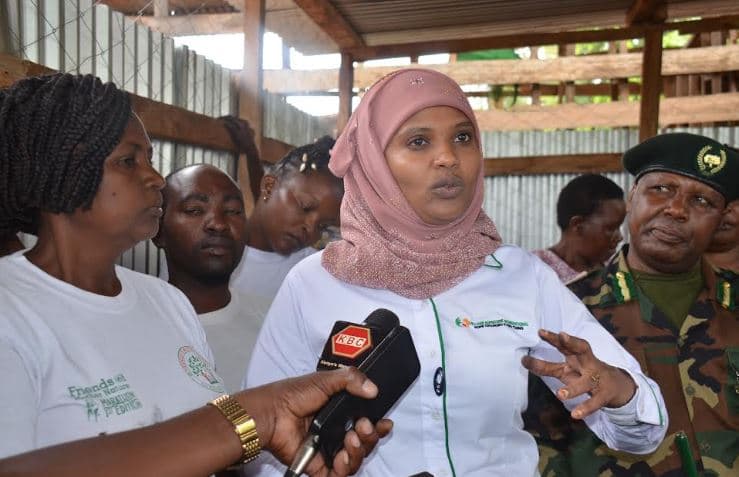 Community briquette project offers hope for forest conservation