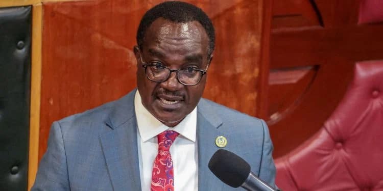 Has Govt Extended August Holiday? CS Ogamba Confirms Schools Opening Date for Term Three