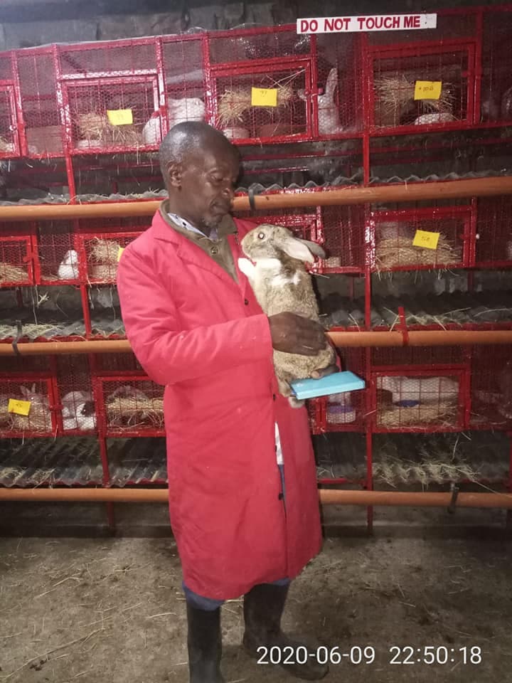 Nakuru farmer giving free rabbits and cages to youth to start farming