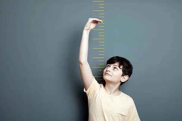 How to Read a Height Scale