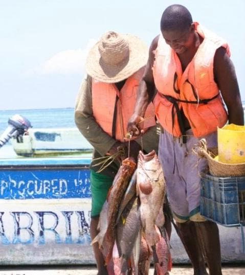 Self-help group boosts fish income 3x through new Kwale cold storage facility